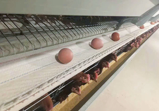 [URL]0f5eb74186d11e749cdad1191859860e.jpg
